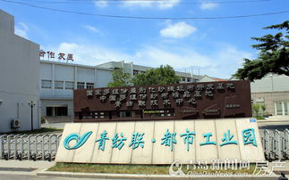 尋訪青島9大國(guó)棉廠 見證昔日輝煌 如今建起高樓大廈 產(chǎn)業(yè)園