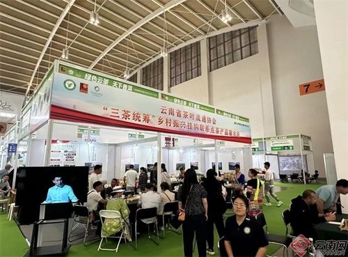 普洱茶博覽會(huì) 云南省茶葉流通協(xié)會(huì) 三茶統(tǒng)籌 鄉(xiāng)村振興掛鉤聯(lián)系點(diǎn)茶產(chǎn)品亮相