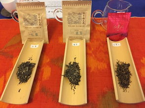 長(zhǎng)江零公里的觀山茶會(huì) 以茶會(huì)友何嘗不是回歸生活的嘗試