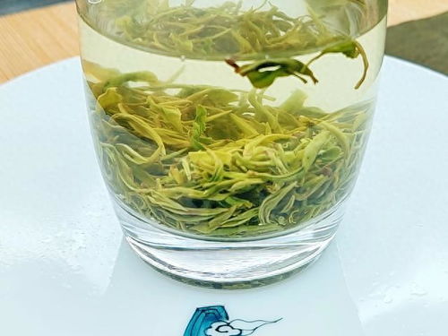 2023綠茶聯賽，江西隊出戰之狗牯腦茶登場