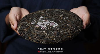 2019年福元昌牽手號扶貧茶帕當(dāng)山區(qū)生茶357克價格與購買指南