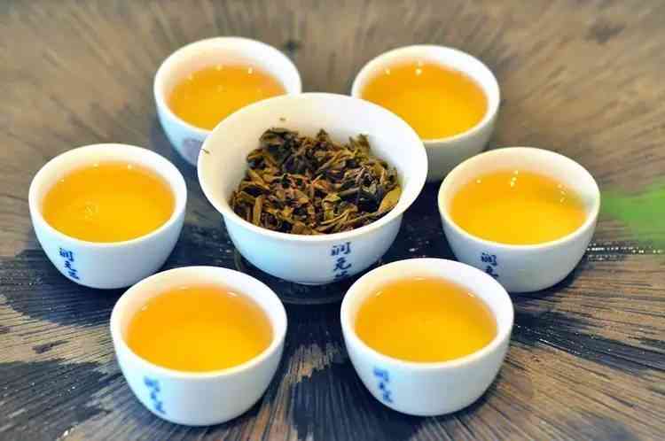 普洱茶選購全指南 從入門到精通的辨別技巧與經典口味推薦